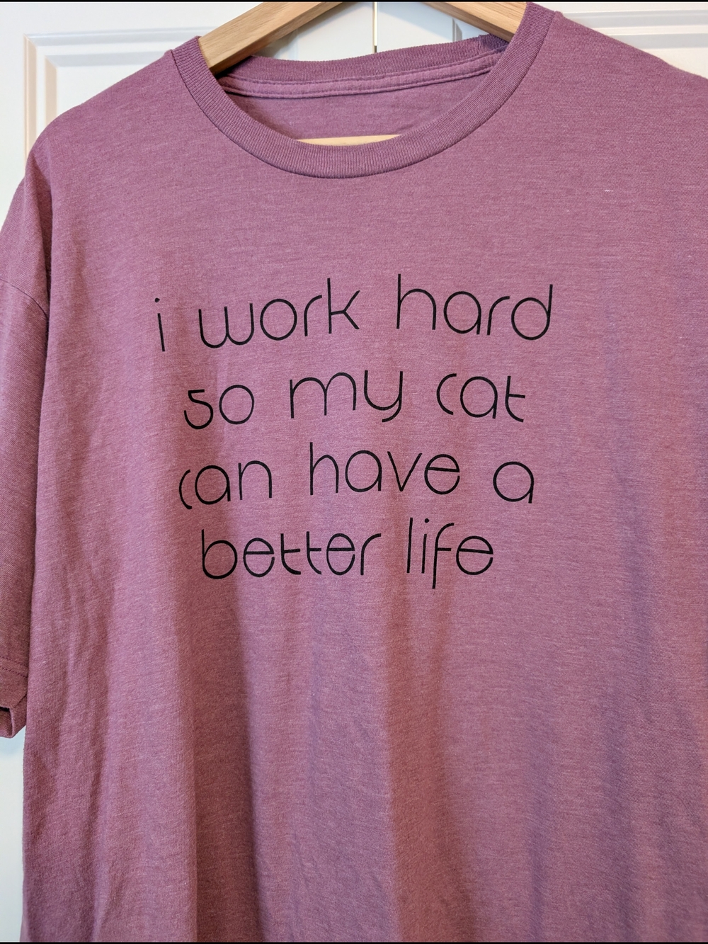 Cat Lady Box T-Shirt Collection of Every Day & Holiday Shirts